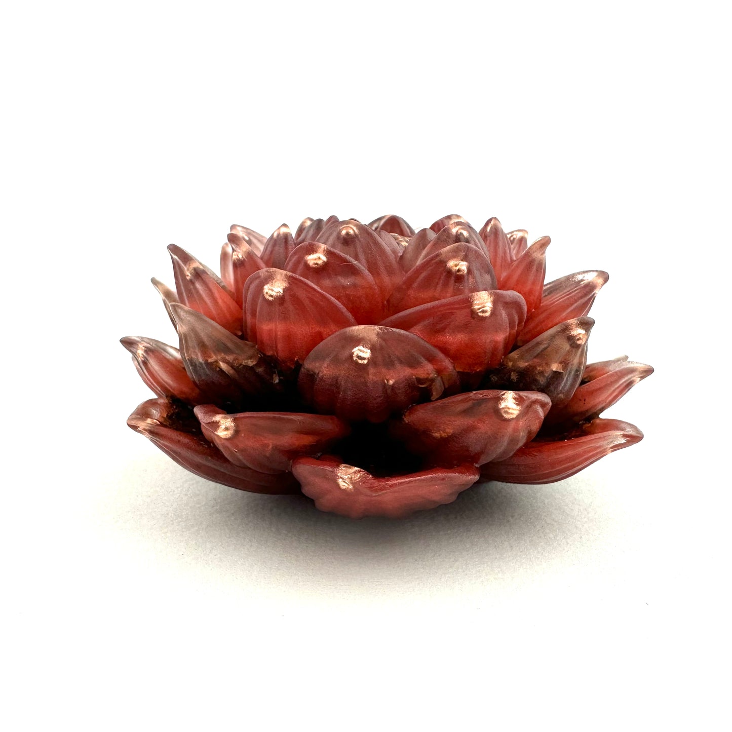 Lotus Orgoniet