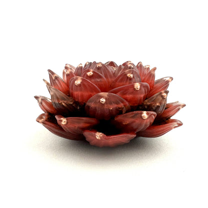 Lotus Orgoniet