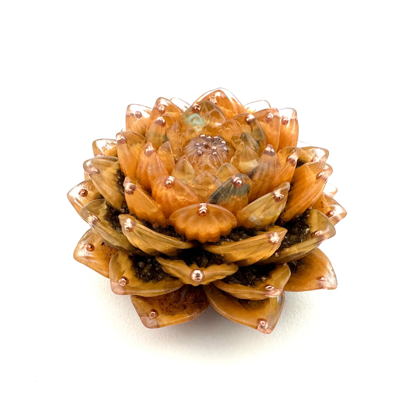 Lotus Orgoniet