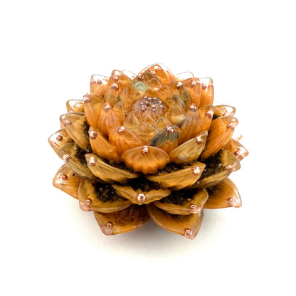 Lotus Orgoniet