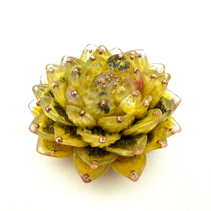 Lotus Orgoniet