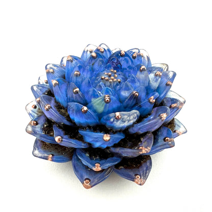 Lotus Orgoniet